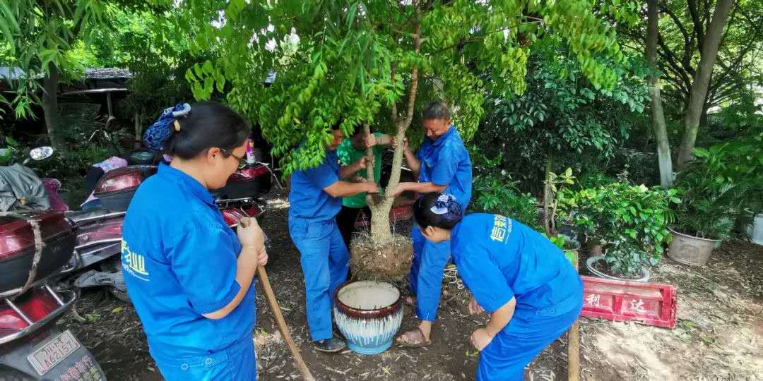 圖片關鍵詞